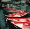 boats