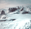 snow