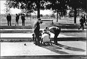 Bocce