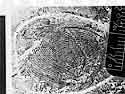 fingerprints demand fine resolution imaging