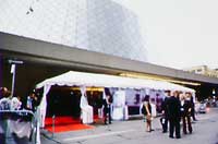 TIFF at 