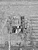 Detail from J.D. Wells Daguerreotype