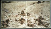 Jeff Wall - Dead Troops Talk 1982