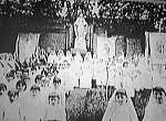gray nuns photo