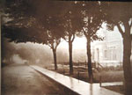 A moody image by Henderson