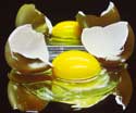 Sunny side up by Judy Zarowny