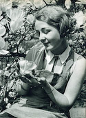 Magnolia Blossom