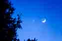 moon and venus