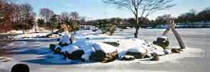 Japanese Garden Buffalo NY