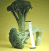Broccoli Trees