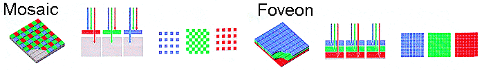 Comparing the CCD Mosaic and the Foveon sensors
